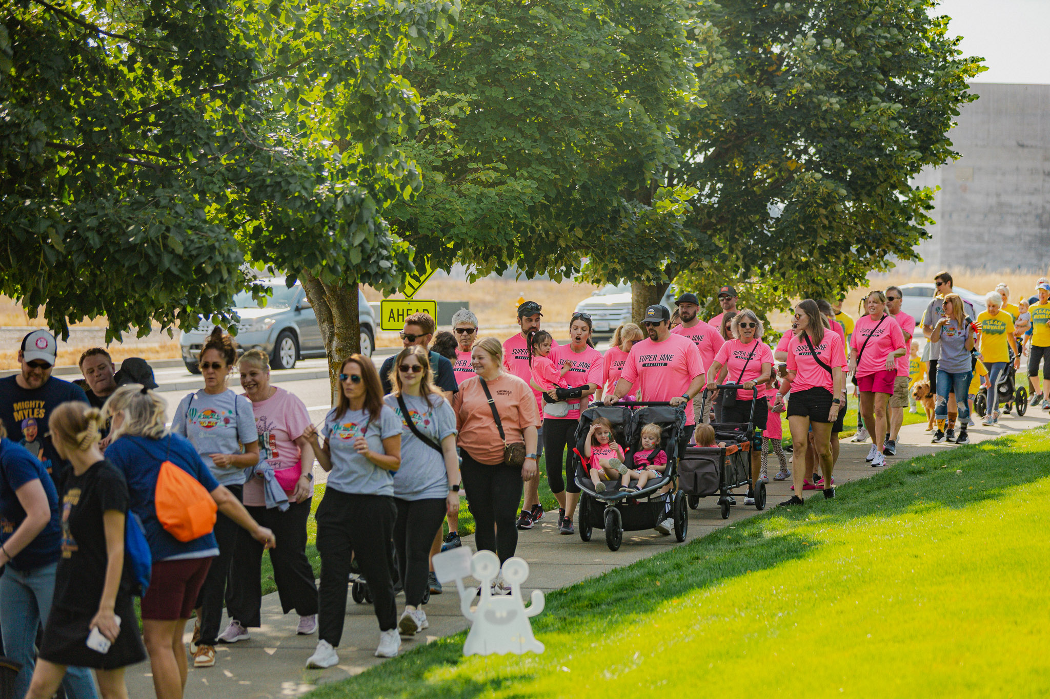 2025 Step Up Walk event photo